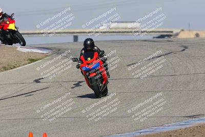 media/Feb-10-2023-TrackDaz (Fri) [[827c11d241]]/C Group/1245pm (Outside Grapevine)/